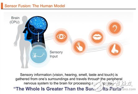 图1 传感器融合：人体模型