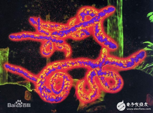 埃博拉病毒有解，默沙东完成疫苗临床试验