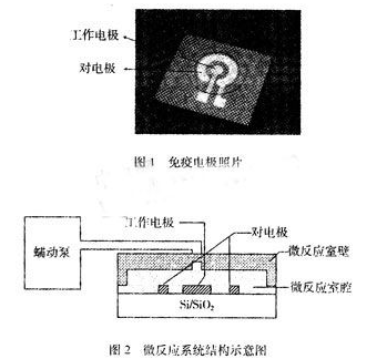 基于MEMS工艺的电极型免疫微传感器检测系统设计